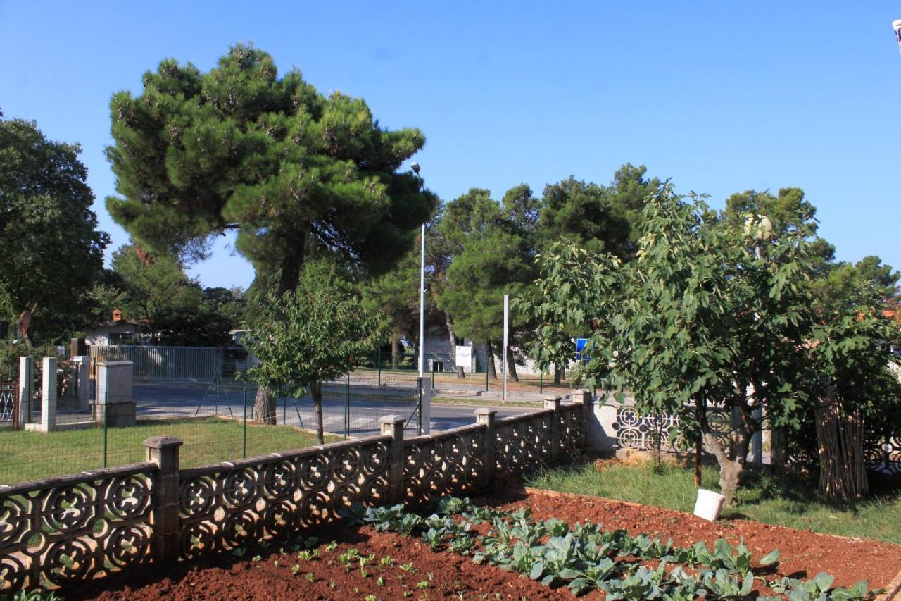 With A Parking Space - 7066 Umag